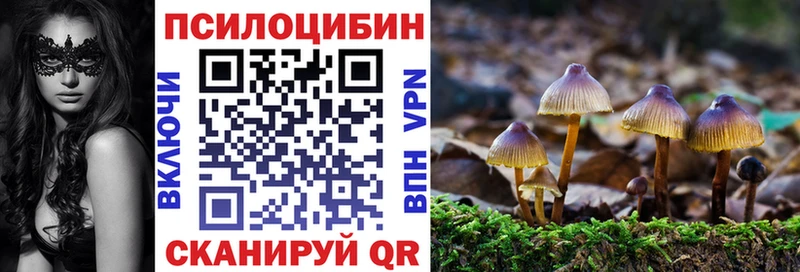 кракен зеркало  Долинск  Галлюциногенные грибы Cubensis 